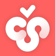 Cherry Studio
